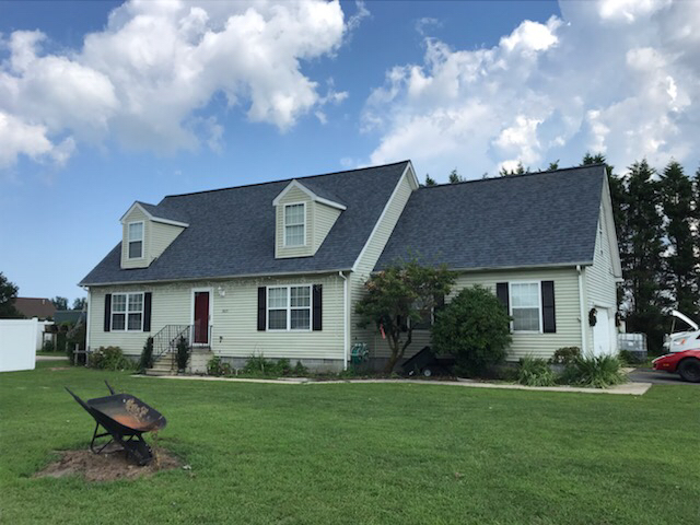 Roof Replacement and Mold Mitigation in Harrington, DE